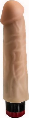 Гелевый вибратор с чётко прорисованной головкой - 18,5 см. Длина: 18.5 см. Диаметр: 4.6 см. Когда тело просит ласки, этот реалистичный вибромассажёр подарит вам её сполна. Фаллическая игрушка – без мошонки, но с нежно-розовой головкой и пышными венами – гарантирует вам чувственные проникновения в лоно и не один десяток оргазмов. Мультискоростная вибрация, распространяемая по всему тельцу массажёра и управляемая при помощи колёсика в основании, усилит все приятные ощущения от сексуальных утех. Страна: Россия. Материал: поливинилхлорид (ПВХ, PVC). Батарейки: 2 шт., тип AA.