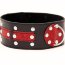 Чёрно-красный ошейник с клёпками - Чёрно-красный ошейник с клёпками