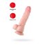 Телесный реалистичный фаллоимитатор My Dainty - 20,5 см. - Телесный реалистичный фаллоимитатор My Dainty - 20,5 см.