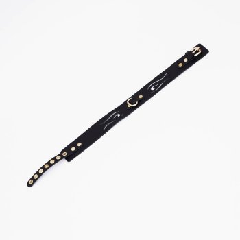 Черный кожаный ошейник с золотистой фурнитурой