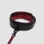 Стильный ошейник с поводком Reversible Faux Leather Collar and Lead - Стильный ошейник с поводком Reversible Faux Leather Collar and Lead
